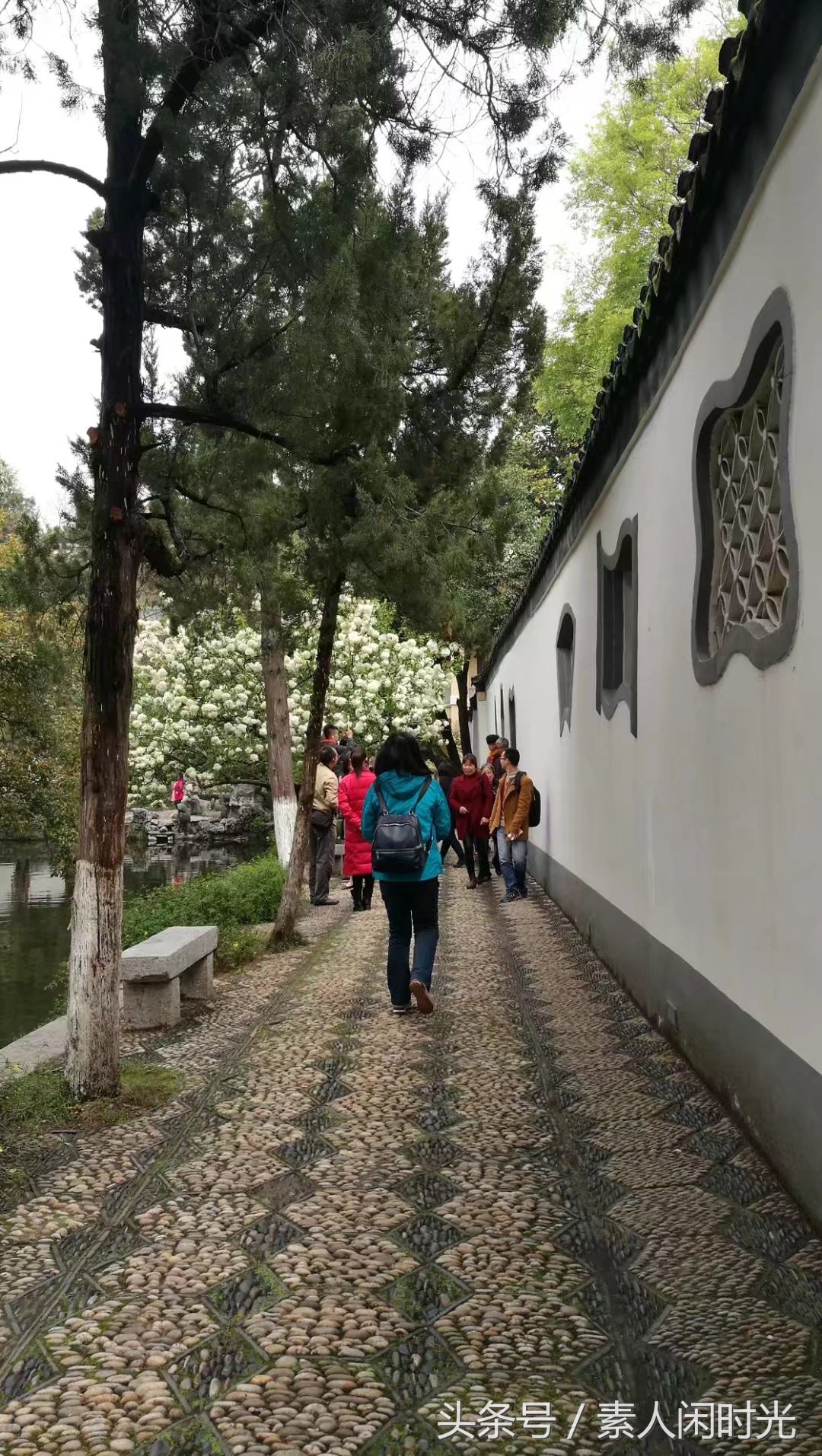 江南游之南京——出外旅游，你愿意请私人导游吗